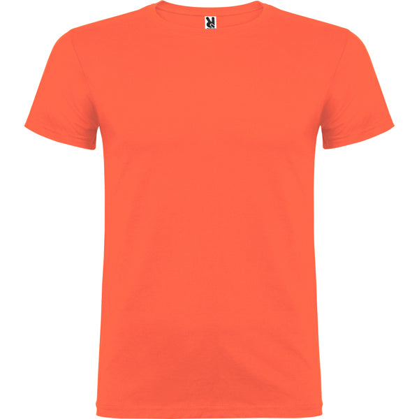 Beagle - Corail