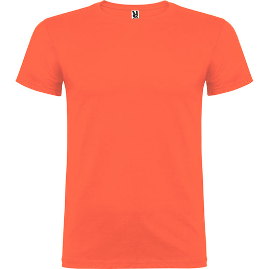 Beagle - Corail