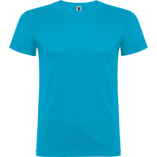 Beagle - Turquoise