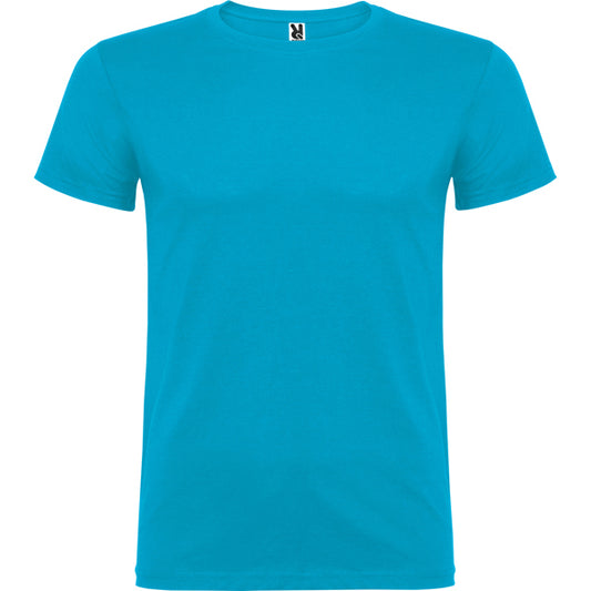 Beagle - Turquoise