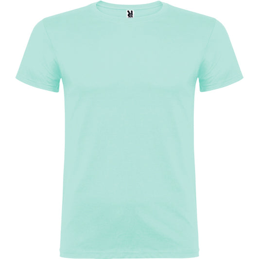 Beagle - Vert Menthe